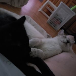 Meet your Posher, Linda